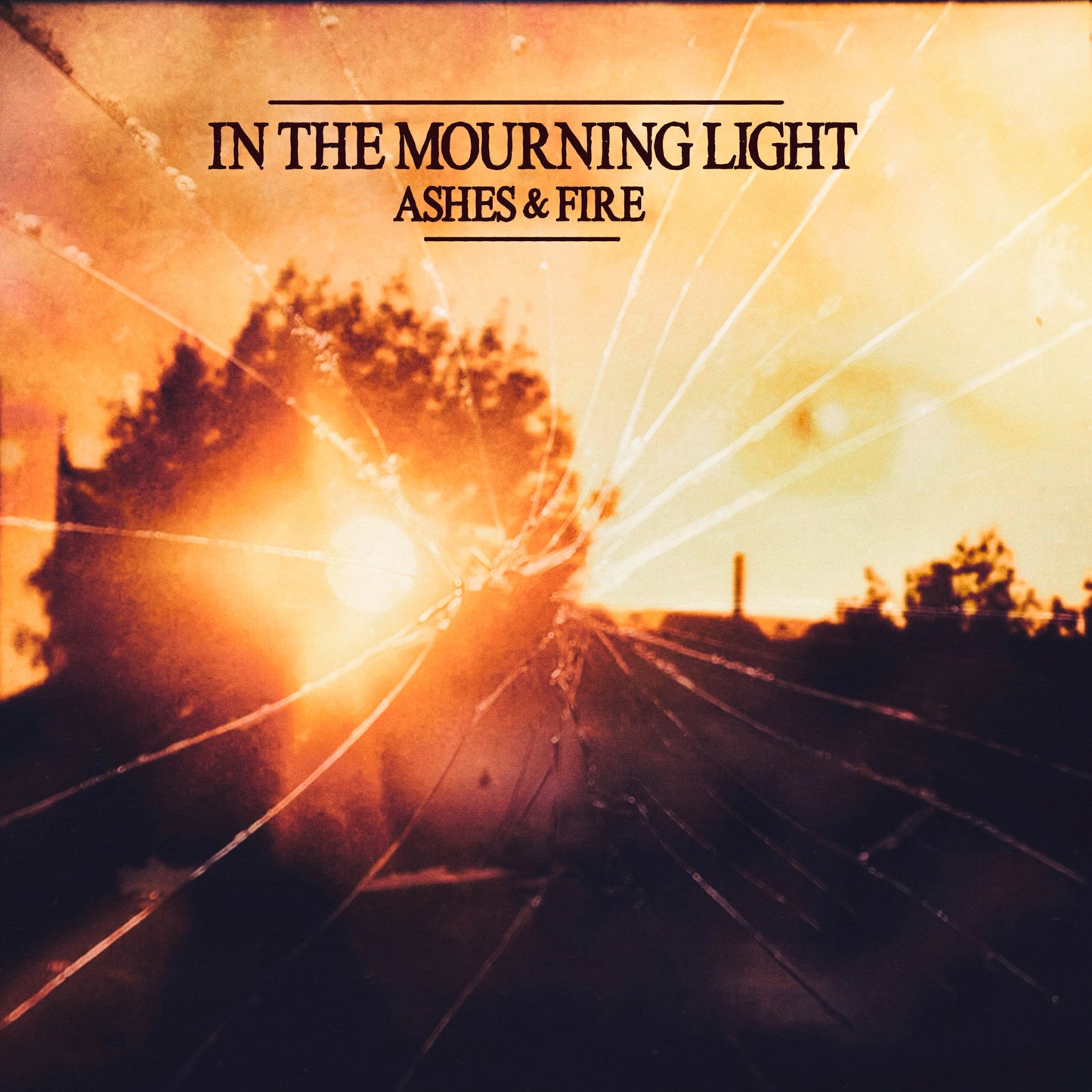 VINYL (DOUBLE) - IN THE MOURNING LIGHT - ALBUM